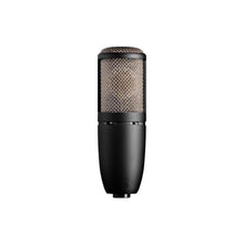 Load image into Gallery viewer, P420 Dual-Large-Diaphragm True Condenser Mic
