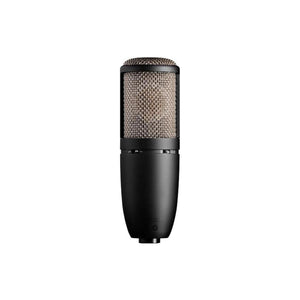 P420 Dual-Large-Diaphragm True Condenser Mic