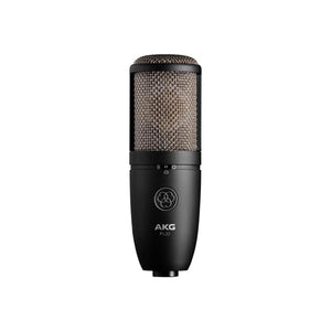 P420 Dual-Large-Diaphragm True Condenser Mic