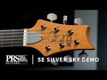 Load and play video in Gallery viewer, SE Silver Sky Lefty Stone Blue
